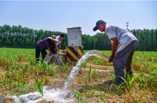 采取活跃措施经过调度水源抗旱喷防等方