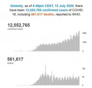 <b>世卫组织：全球新冠肺炎确诊病例超过1255万例</b>